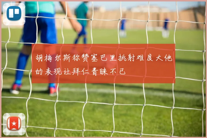 胡梅尔斯称赞塞巴里挑射难度大他的表现让拜仁青睐不已
