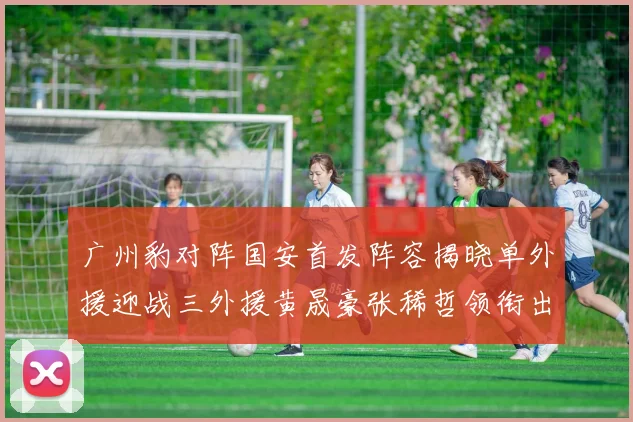 广州豹对阵国安首发阵容揭晓单外援迎战三外援黄晟豪张稀哲领衔出战