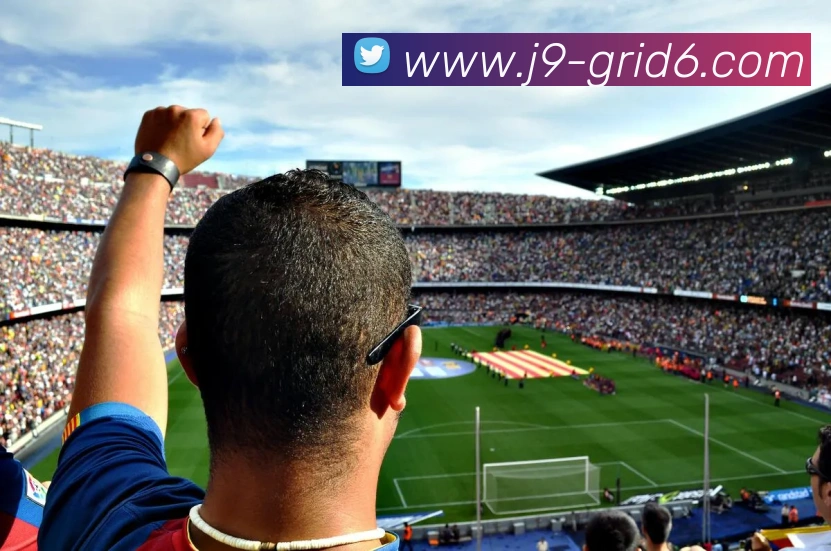 未来规划